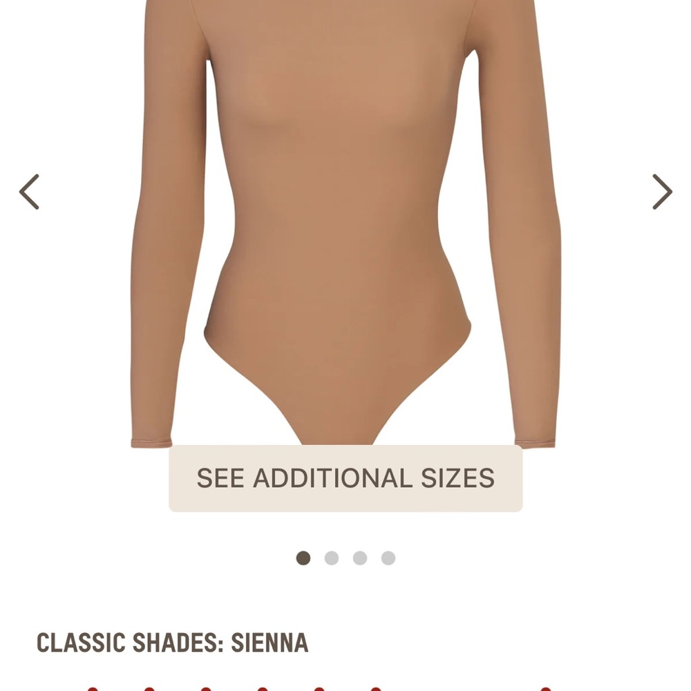 Fits everybody crewneck bodysuit color sienna size 2X never worn